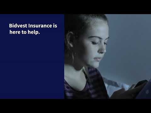 Bidvest Insurance Cyber insurance for your online altercations