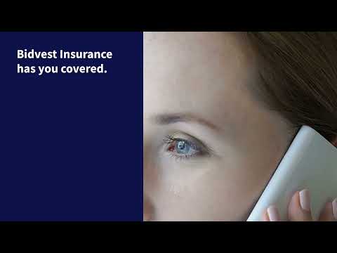 Bidvest Insurance Cyber Rescue